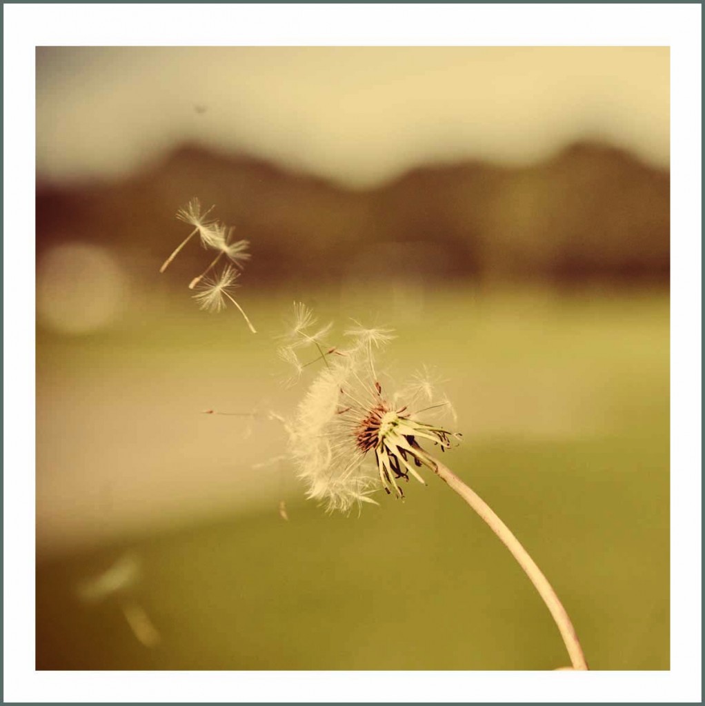 blog9