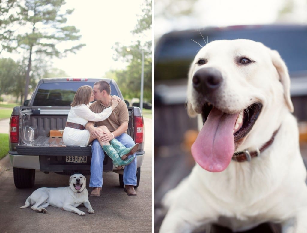 dog engagement photos