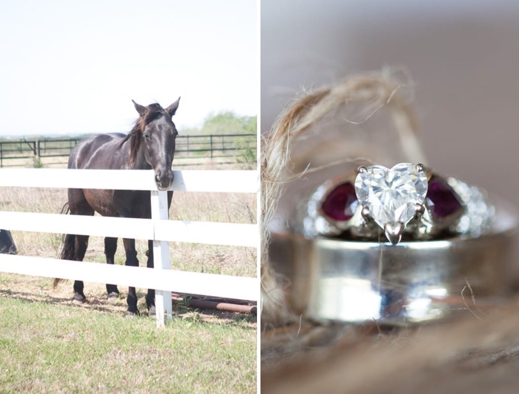 horse ranch wedding