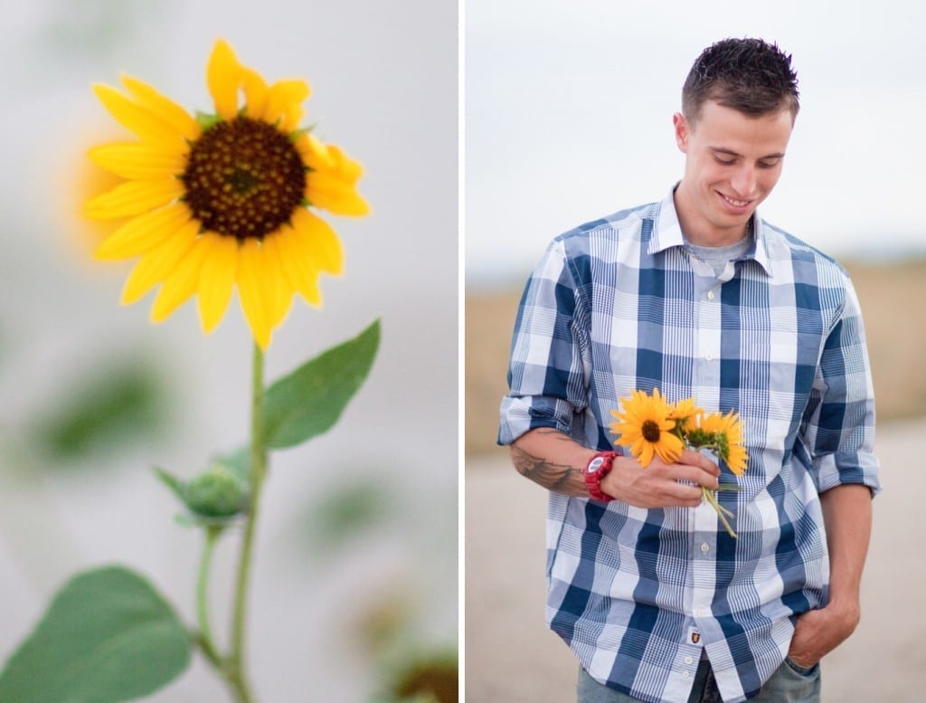 sunflower engagement photography