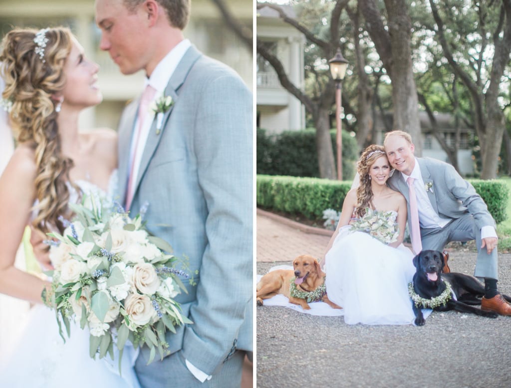 bride-and-groom-and-pups