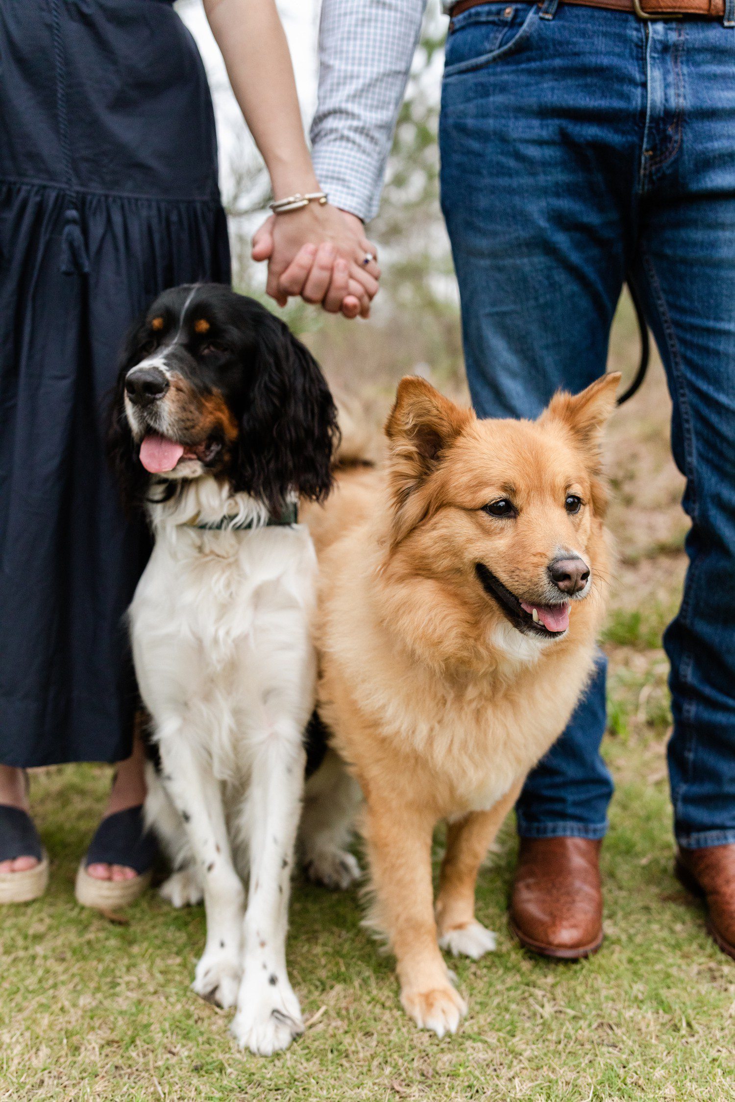 Including dogs into engagement photos. 