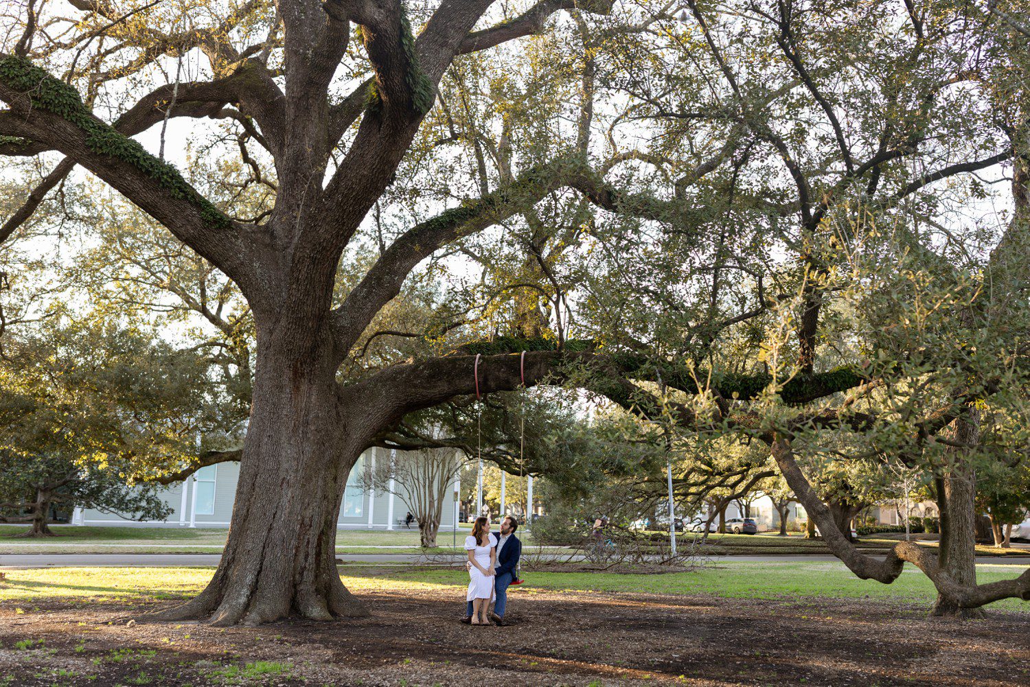 Houston Engagement Photos at the Menil Collection outside in tree 