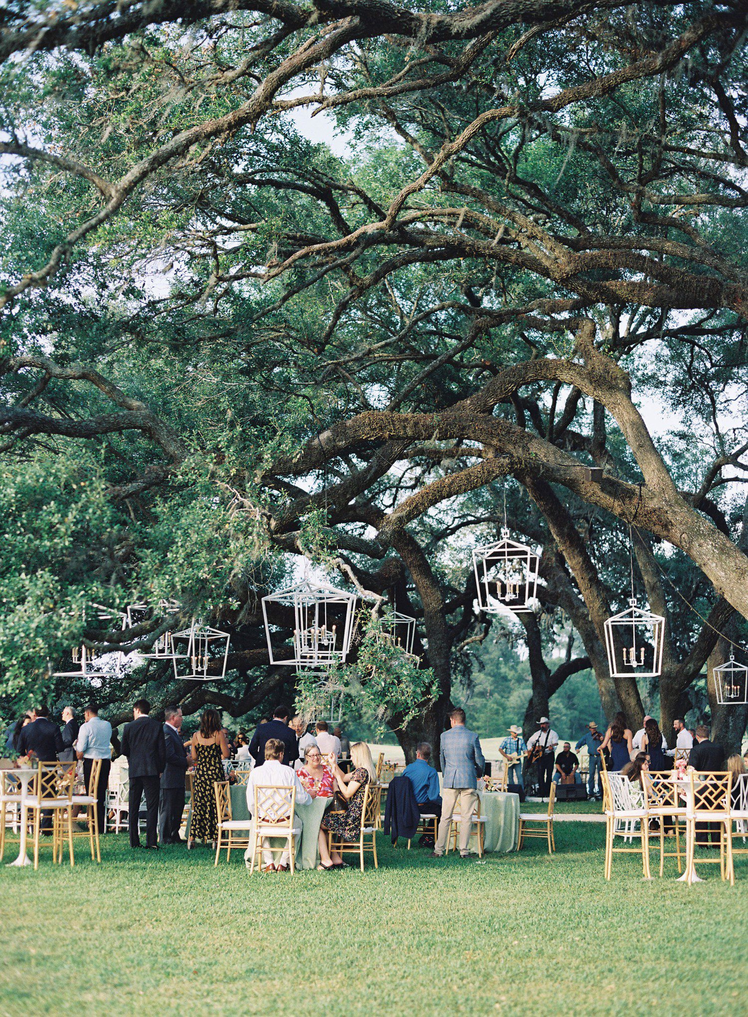 Outdoor wedding cocktail hour at Houston Oaks. 