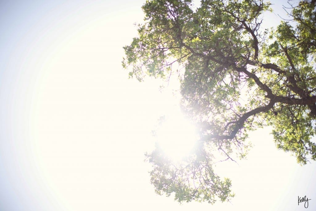 blog1