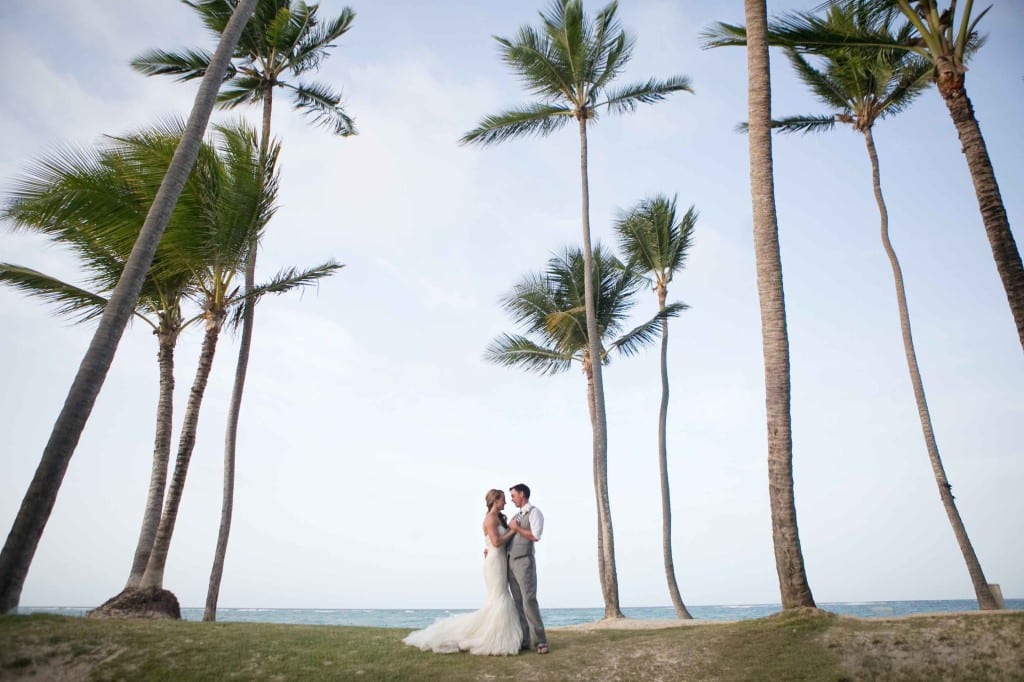 palm tree wedding