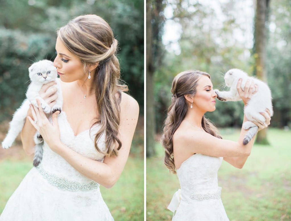 bride and kitten copy
