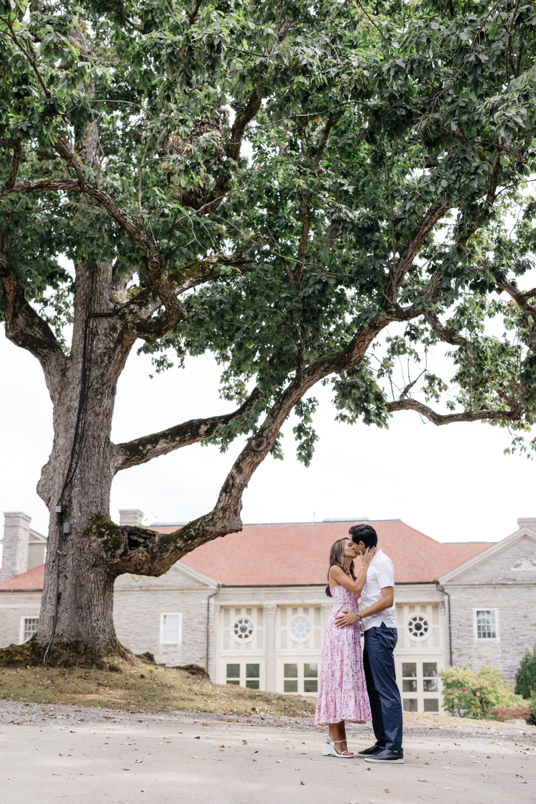 Engaged couple kissing under large tree.