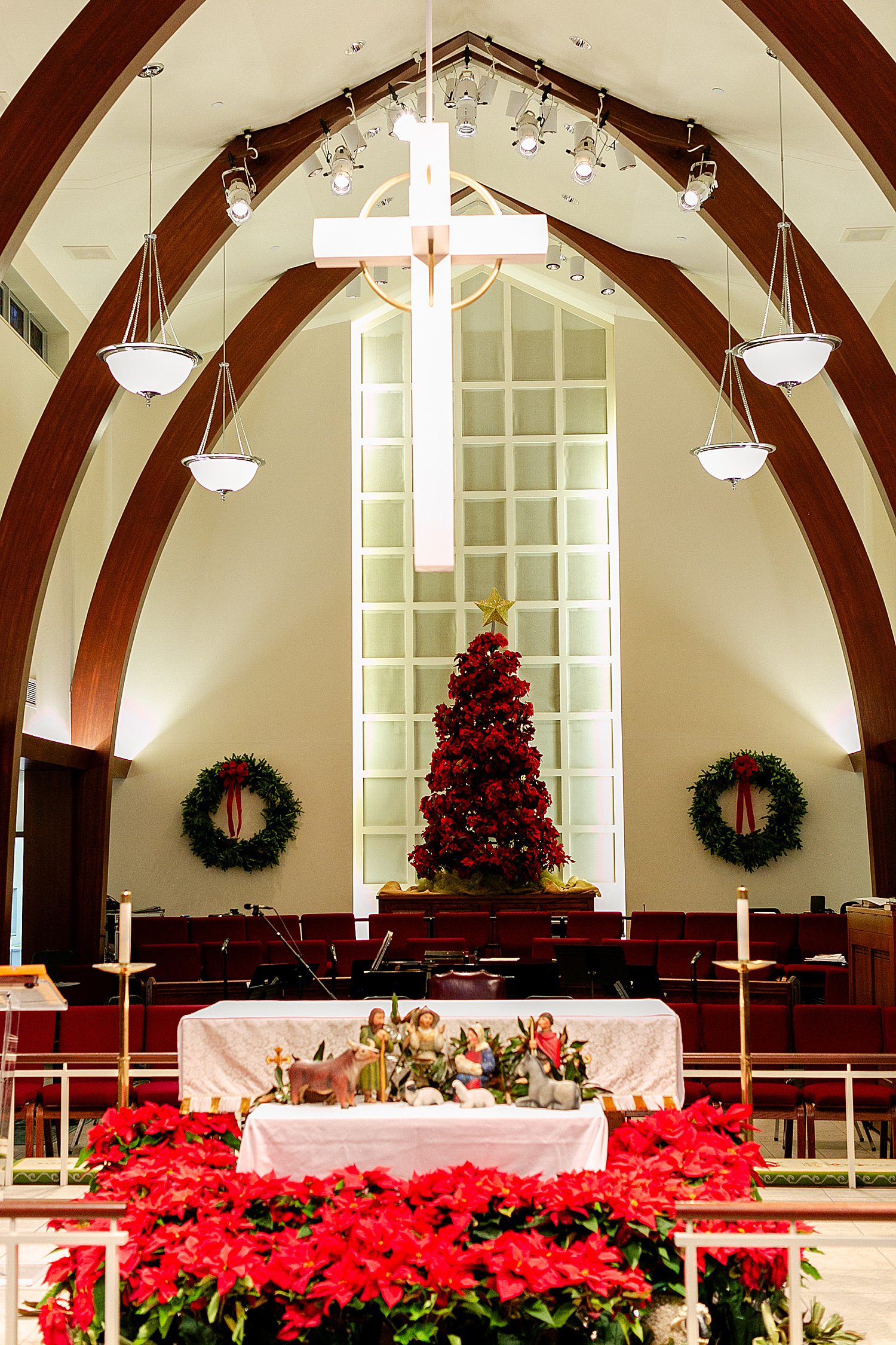 Altar with poinsettias and Christmas tree before wedding