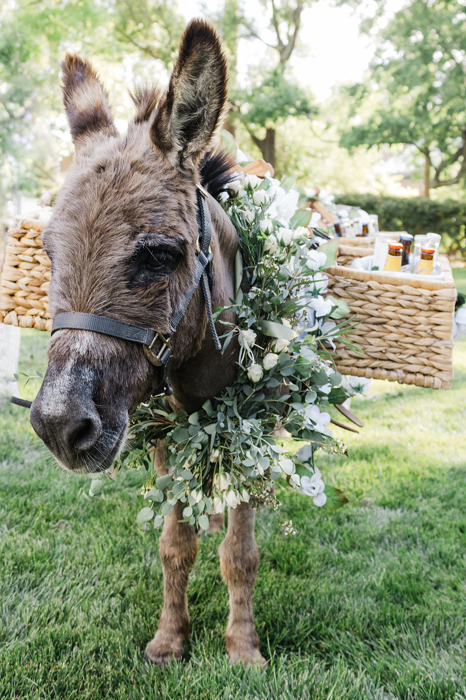 Brown beer burro at wedding reception with white floral wreath around neck and basket over back filled with beers